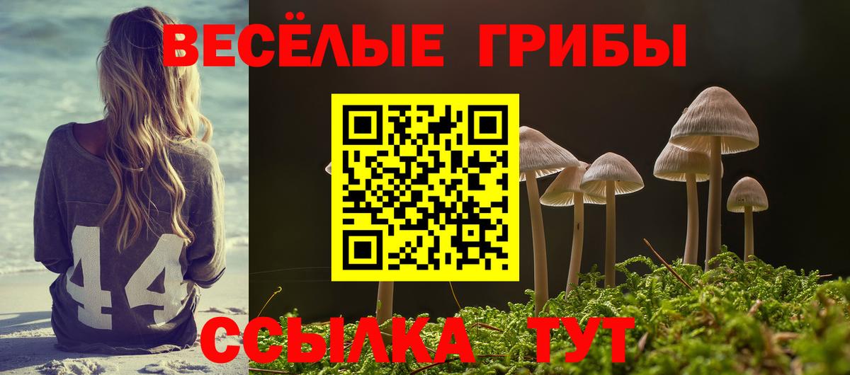 Галлюциногенные грибы ЛСД Донской