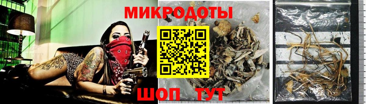Галлюциногенные грибы Psilocybine cubensis  Вход с VPN  Донской 